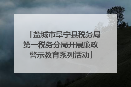 盐城市阜宁县税务局第一税务分局开展廉政警示教育系列活动